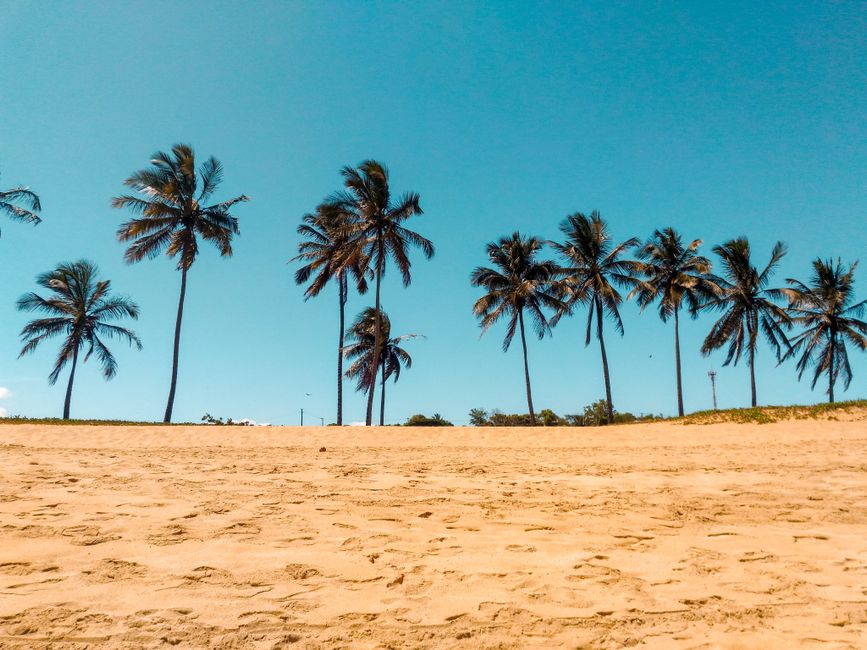 16. Caucaia Tem Praia? Conheça as Melhores Praias do Município — foto: Jean  Frenna